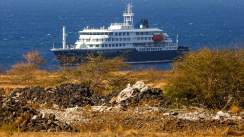 todo-sobre-los-hantavirus-una-enfermedad-grave-pero-de-bajo-riesgo-mundial.jpg